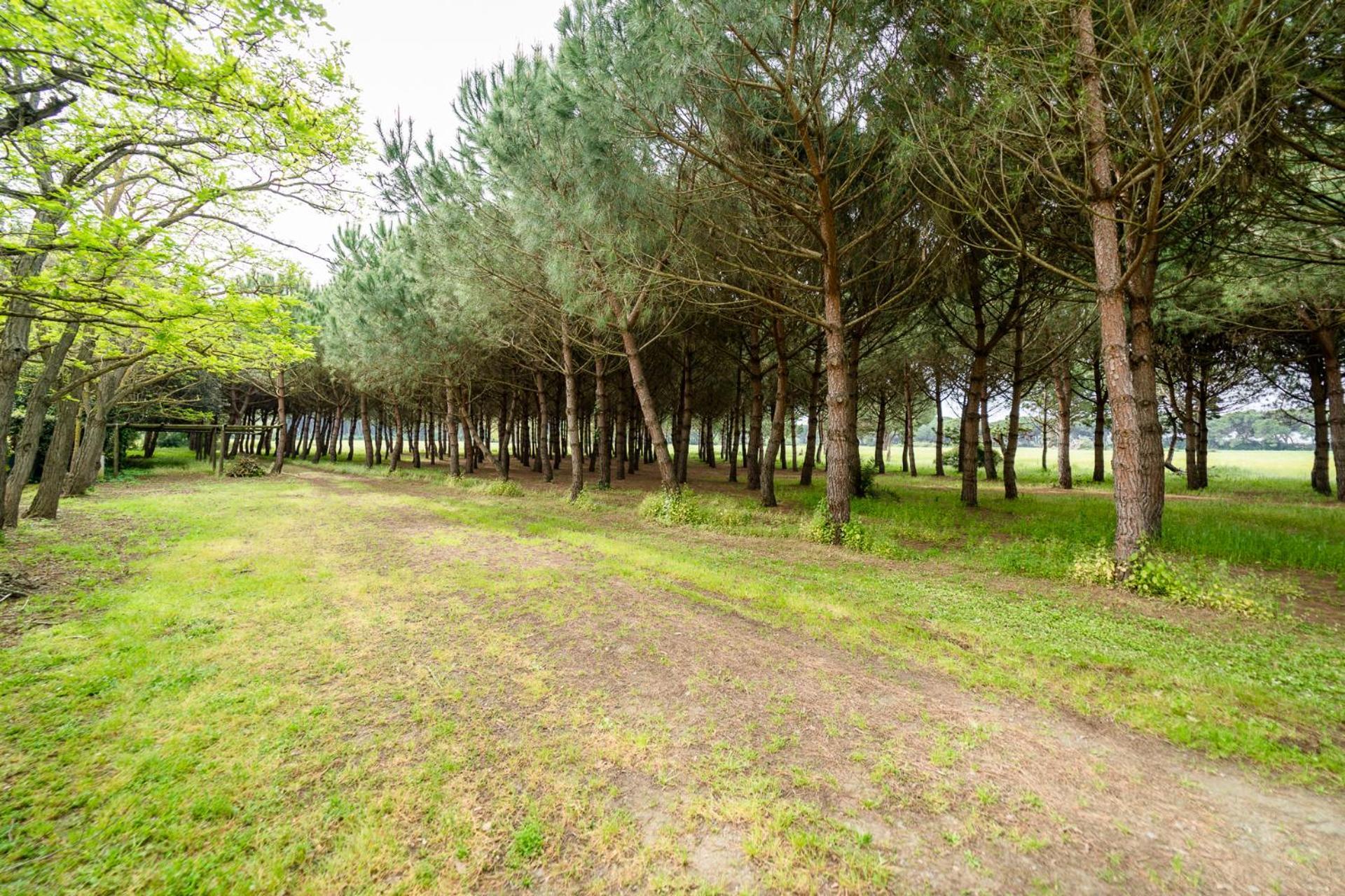 Agriturismo Bio Femminella プリンチピナ・ア・マーレ エクステリア 写真